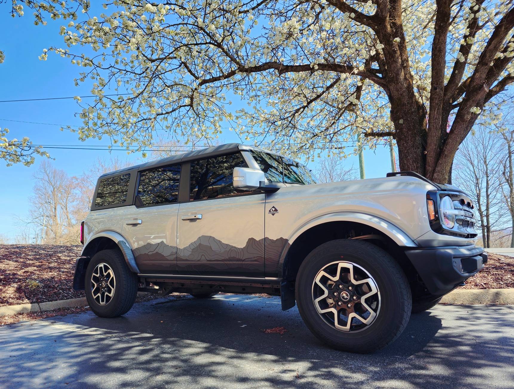 Ford Bronco Anyone have a hood decal? 1000019692