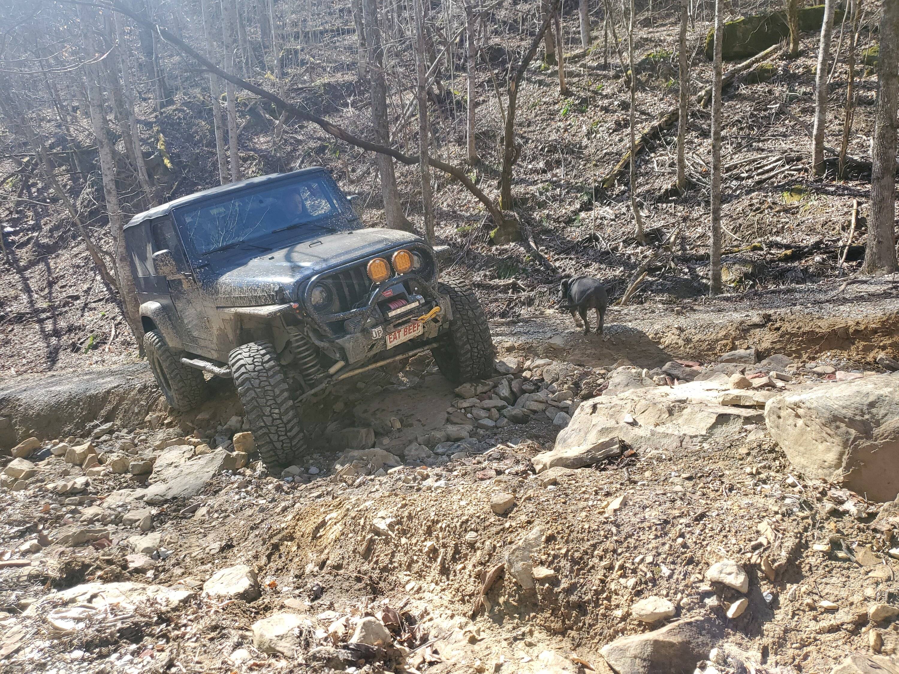 Ford Bronco Windrock Spring Bunny Bash 20250322_111501