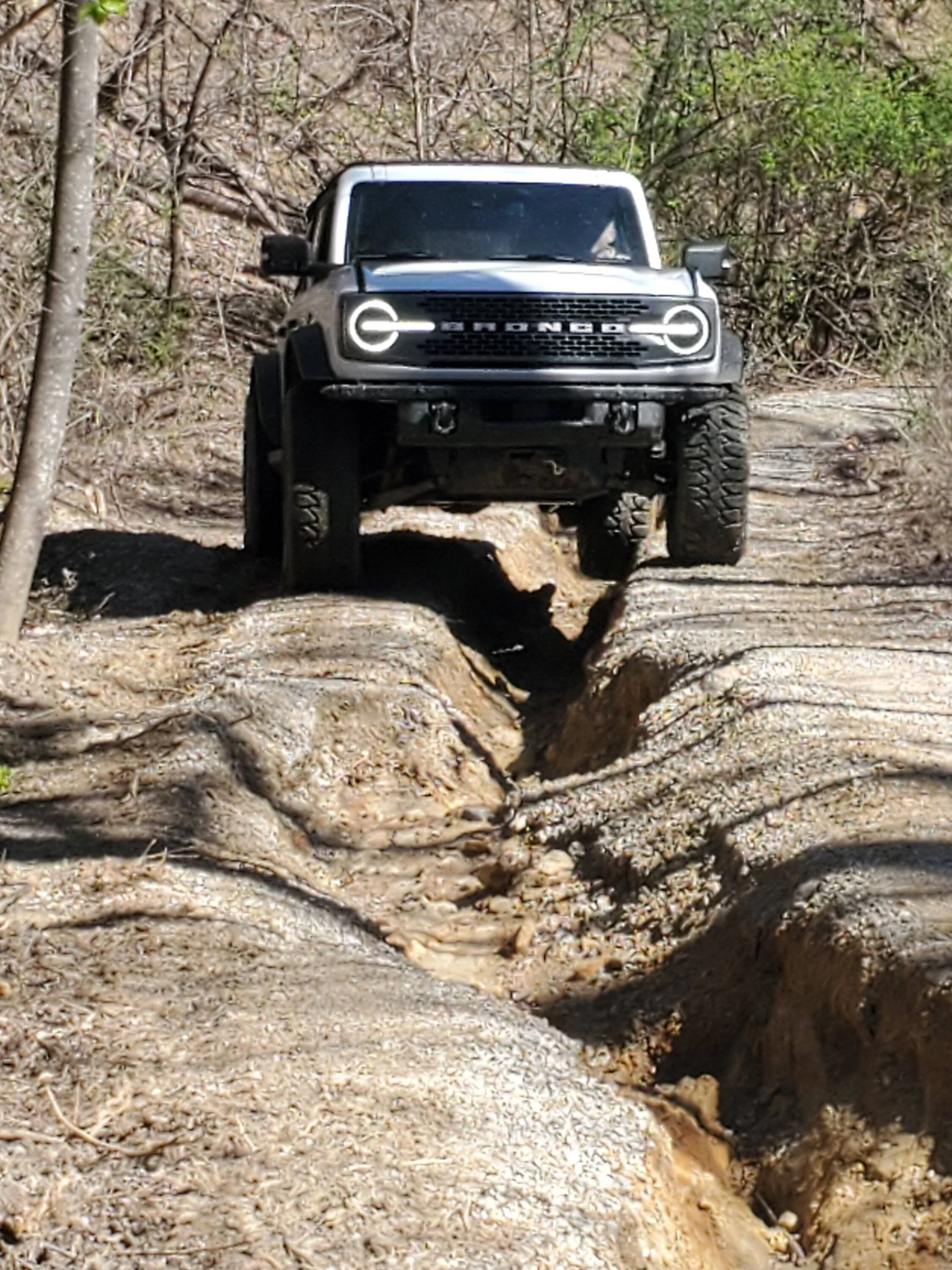 Ford Bronco Windrock Spring Bunny Bash 20250322_115029