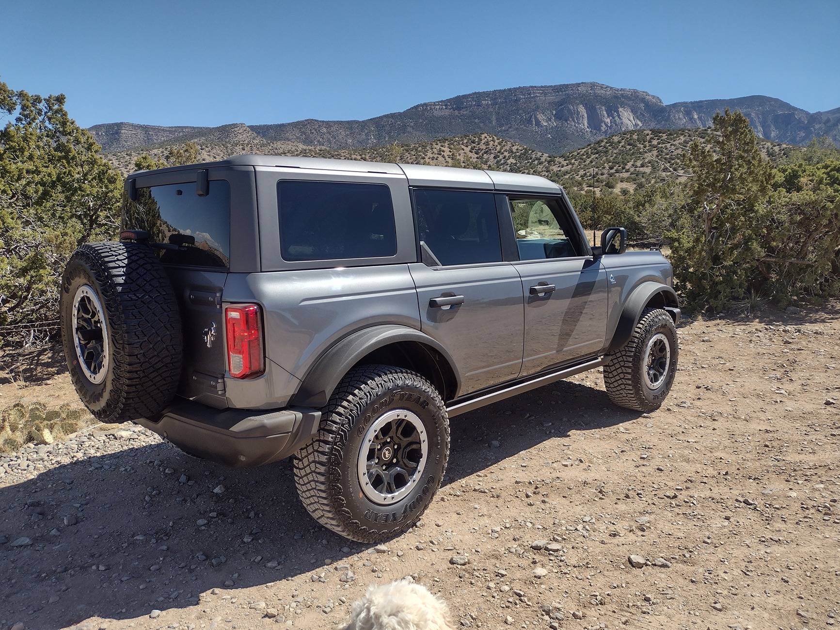 Ford Bronco What did you do TO / WITH your Bronco today? 👨🏻‍🔧🧰🚿🛠 IMG_20250325_134134756_HDR