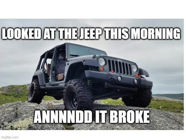 Ford Bronco Jeep ducks? 1743269531143-ih