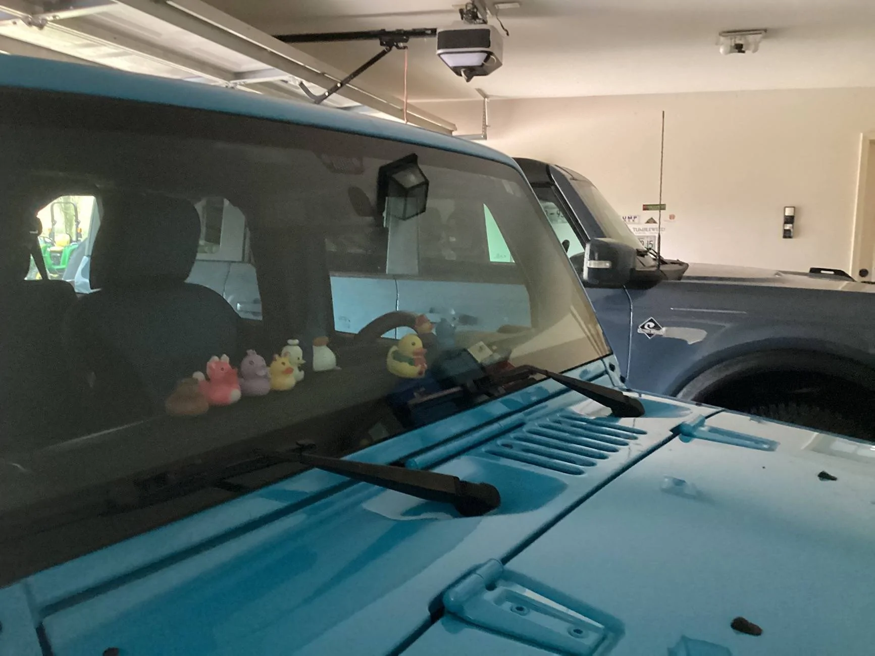 Ford Bronco Jeep ducks? IMG_0021