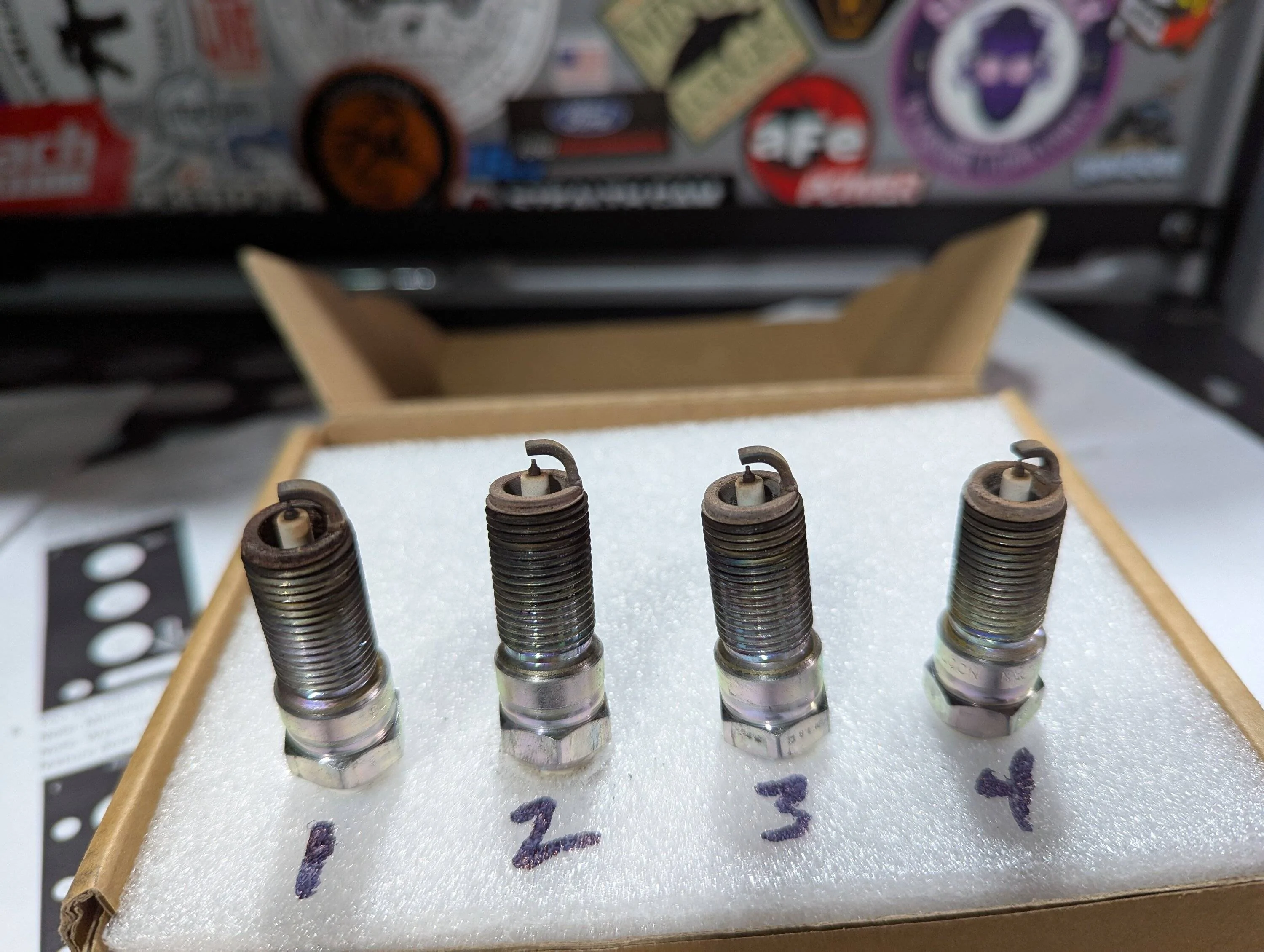 Ford Bronco 2.3 Spark Plug Read Plugs