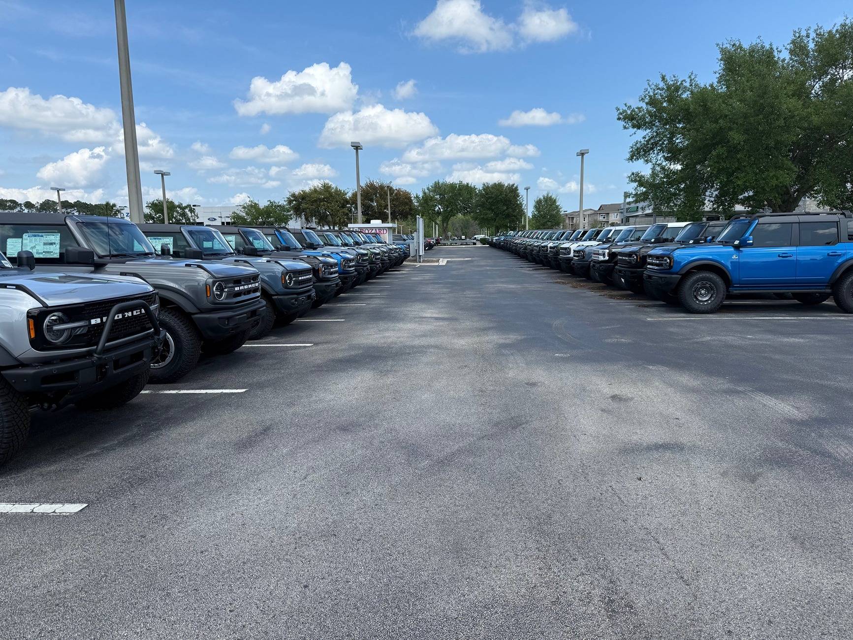 Herd of Broncos.jpg