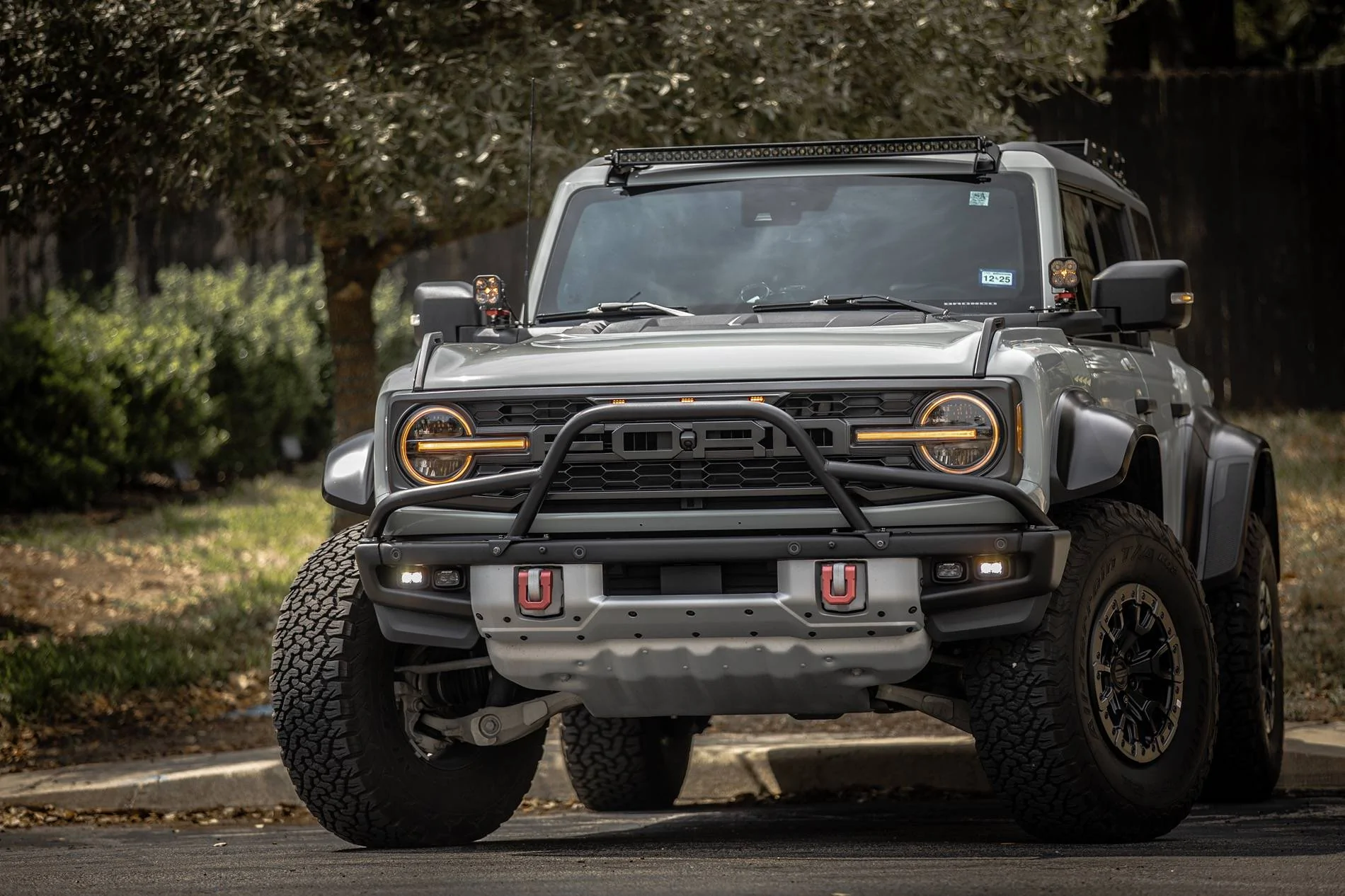Bronco1.webp
