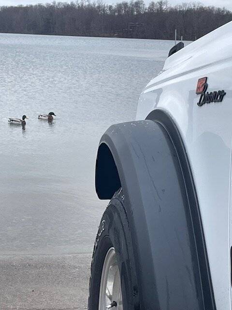 Ford Bronco Jeep ducks? Bronco Ducks