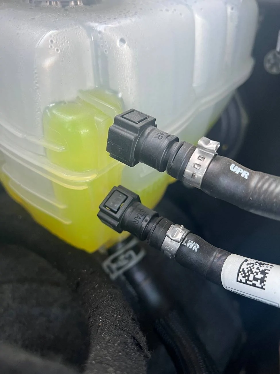 Ford Bronco Coolant level exactly at minimum - only driven 2,200 miles IMG_6734