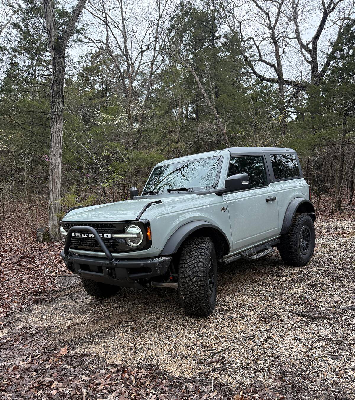 Ford Bronco Grateful to be Here! '24 WildTrak 2D Bronco Cactus Grey 2D