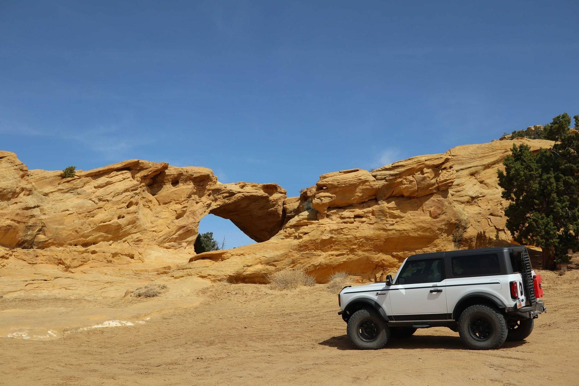 Ford Bronco What did you do TO / WITH your Bronco today? 👨🏻‍🔧🧰🚿🛠 Trail 1
