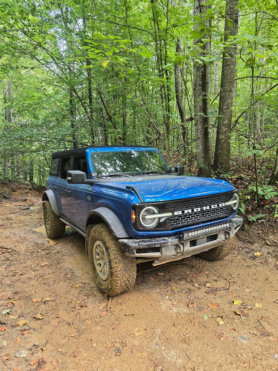 Ford Bronco Let's see the stablemates!!! 20240831_144715