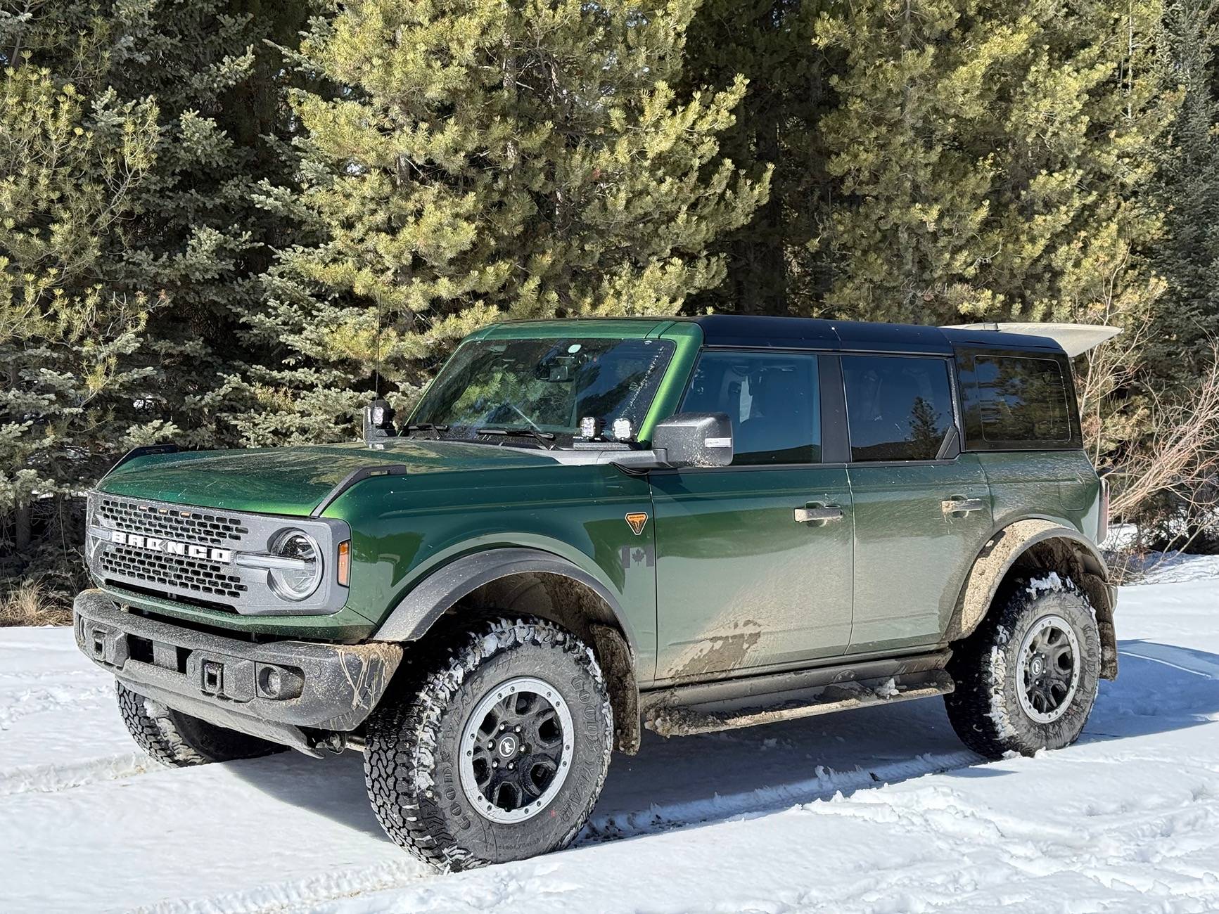 Ford Bronco Way To Go AMB! IMG_8122