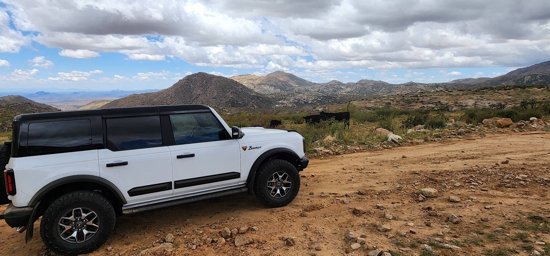 Ford Bronco Iconic Four Peaks in AZ 20250419_120533
