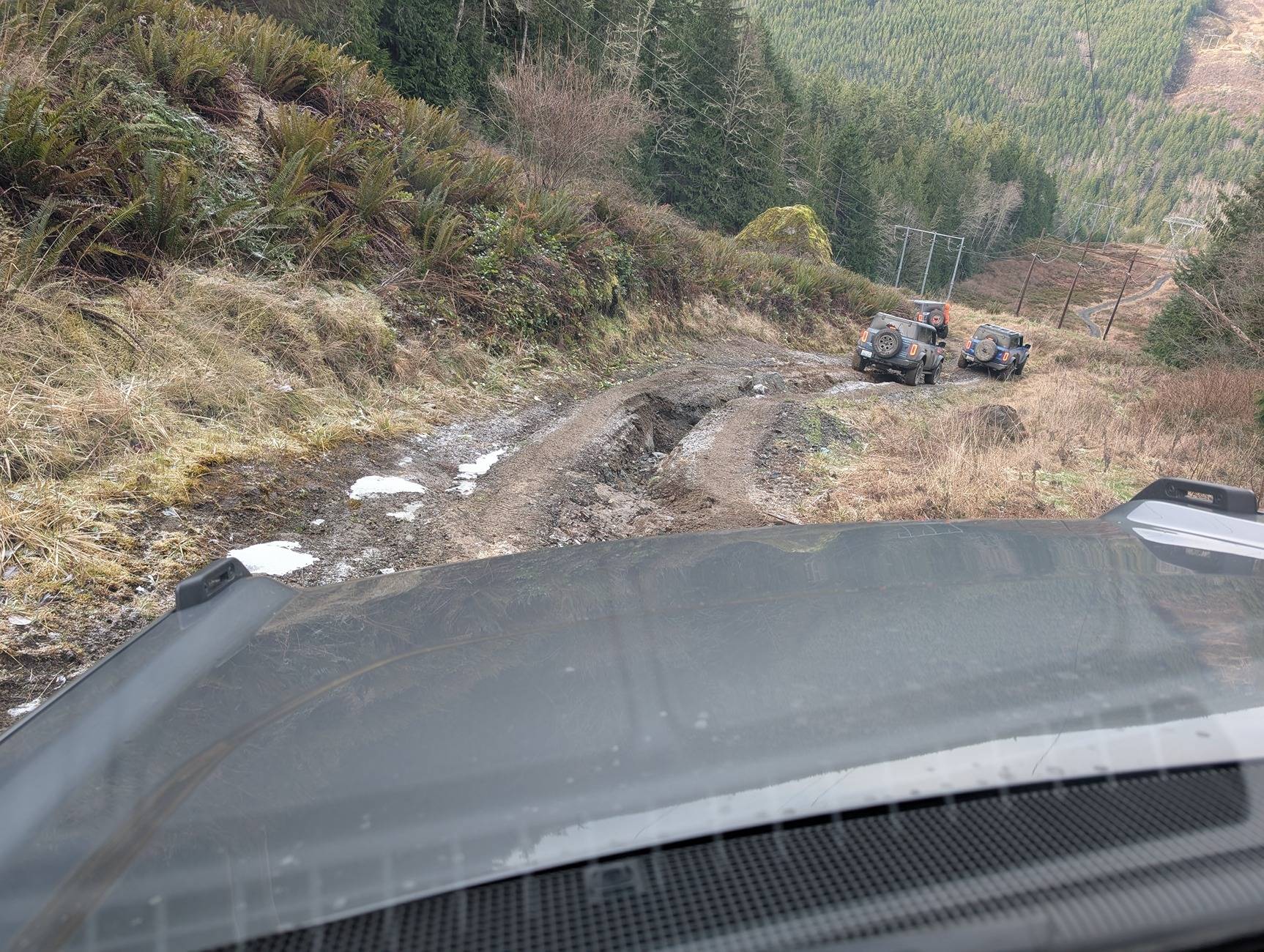 Ford Bronco Admit it, your rig is a "mall crawler"... PXL_20250201_191234960