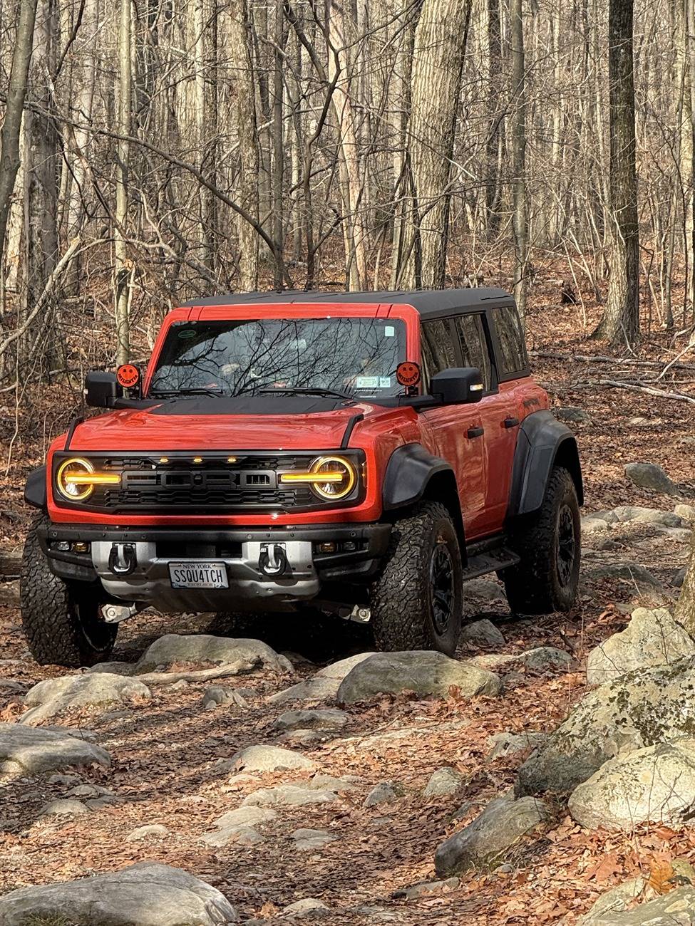 Ford Bronco Admit it, your rig is a "mall crawler"... Raptor4