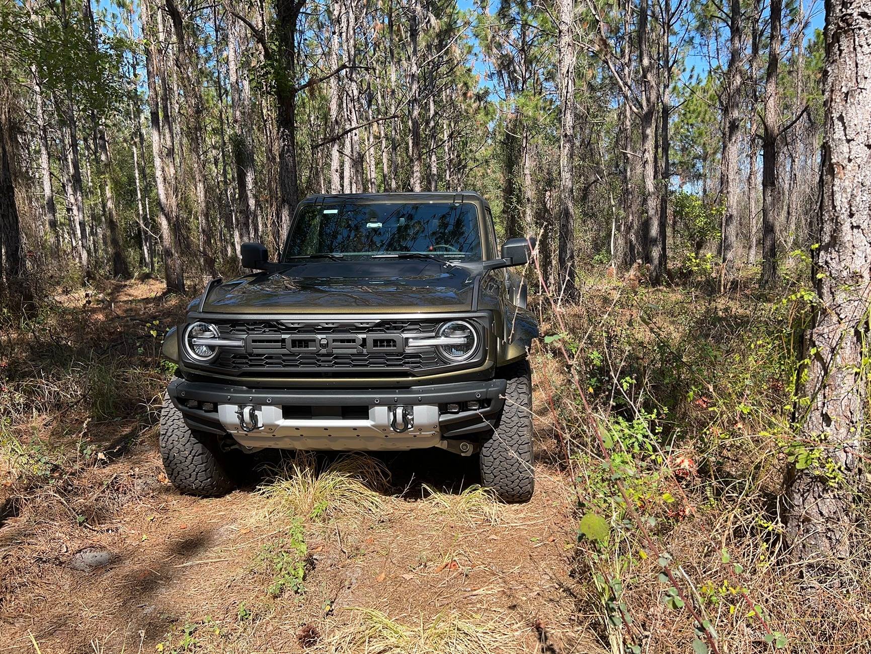 Raptor_Woods_1.jpg