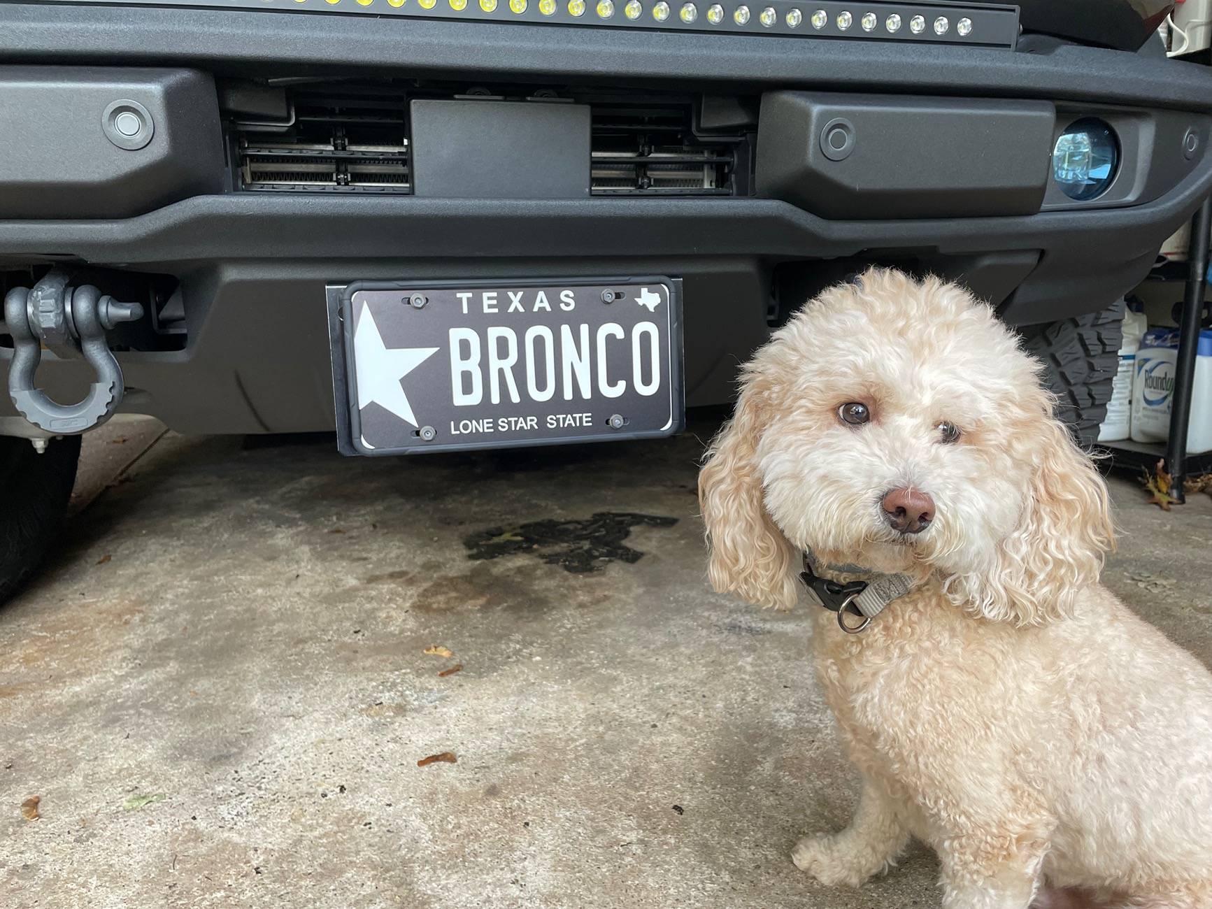 Ford Bronco Custom vanity license plate for Bronco? IMG_3648