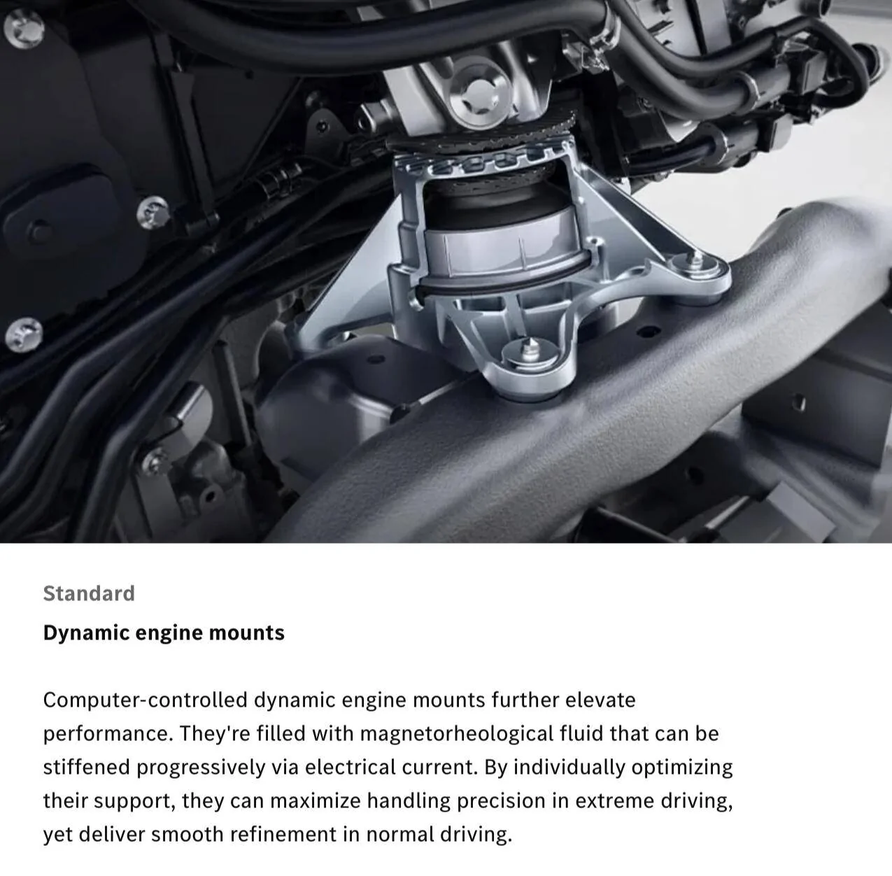 Ford Bronco Motor Mount Fluid? 1745844722170-bv