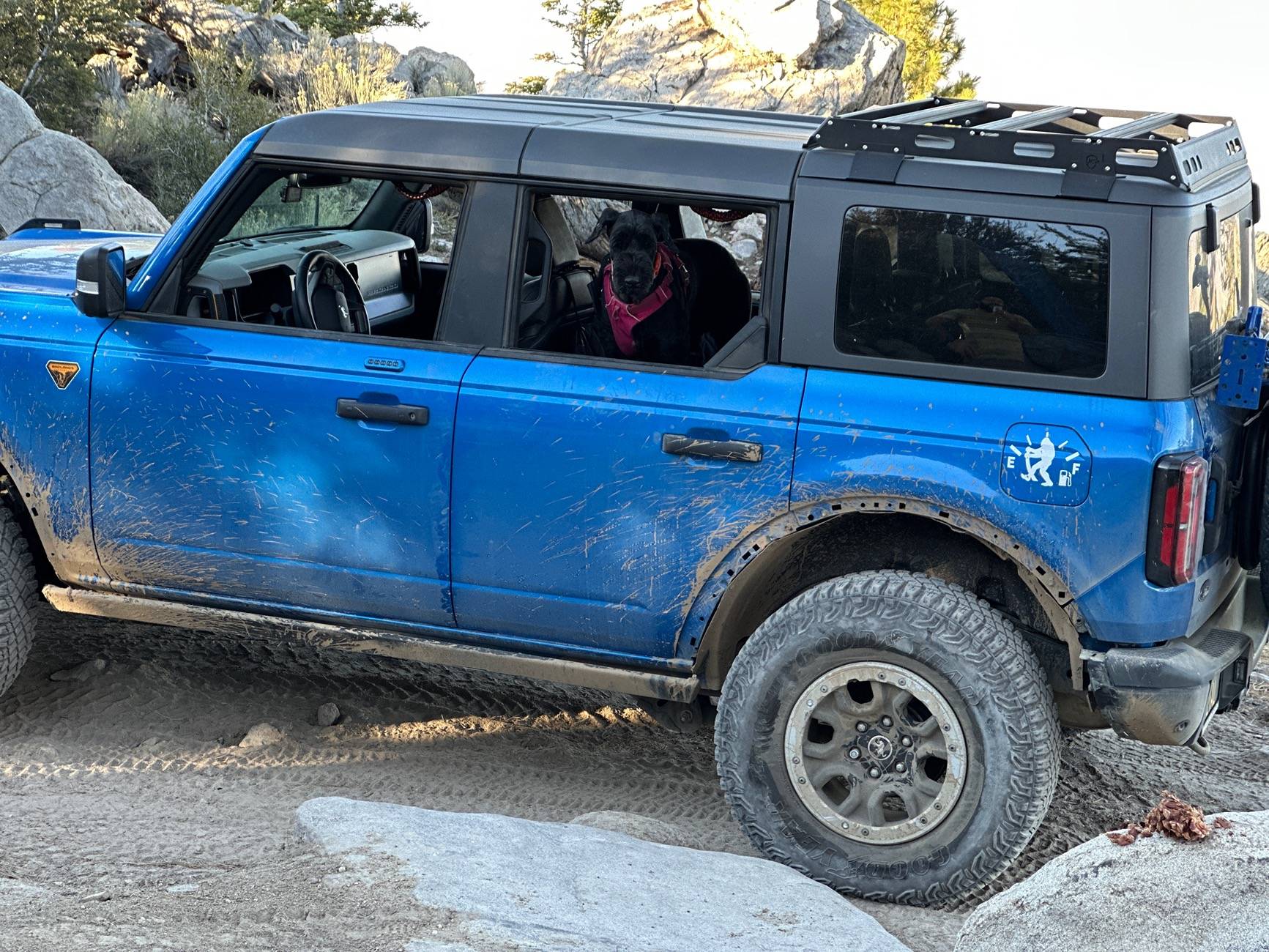 Ford Bronco Trip: Big Bear California ; John Bull + Holcomb Creek trails (Stock Badlands Sasquach) IMG_7057