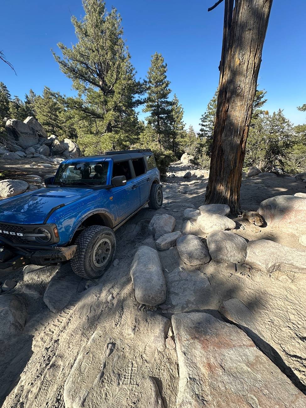 Ford Bronco Trip: Big Bear California ; John Bull + Holcomb Creek trails (Stock Badlands Sasquach) IMG_7036