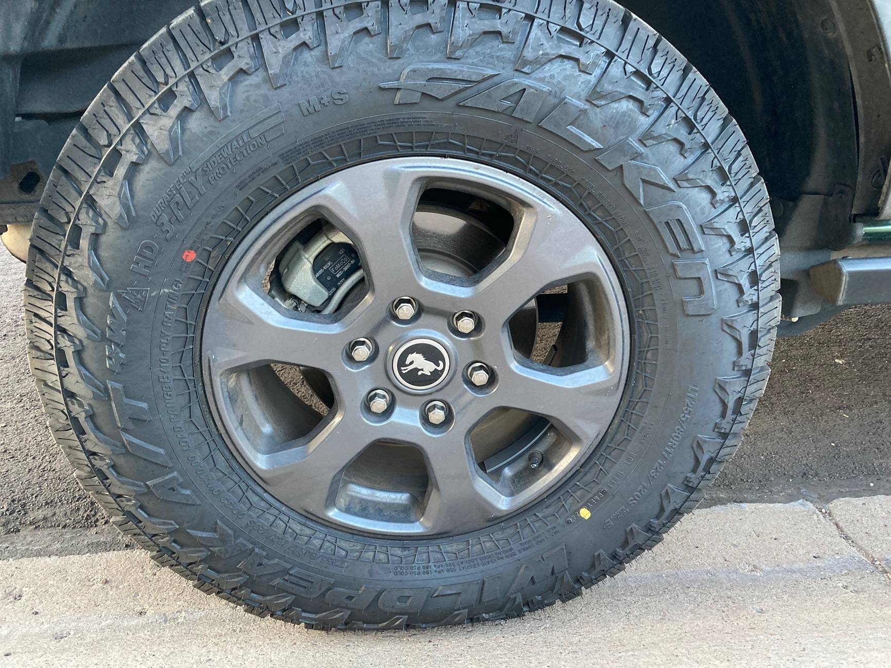 Ford Bronco 33 inch spare tire on Big Bend IMG_0332