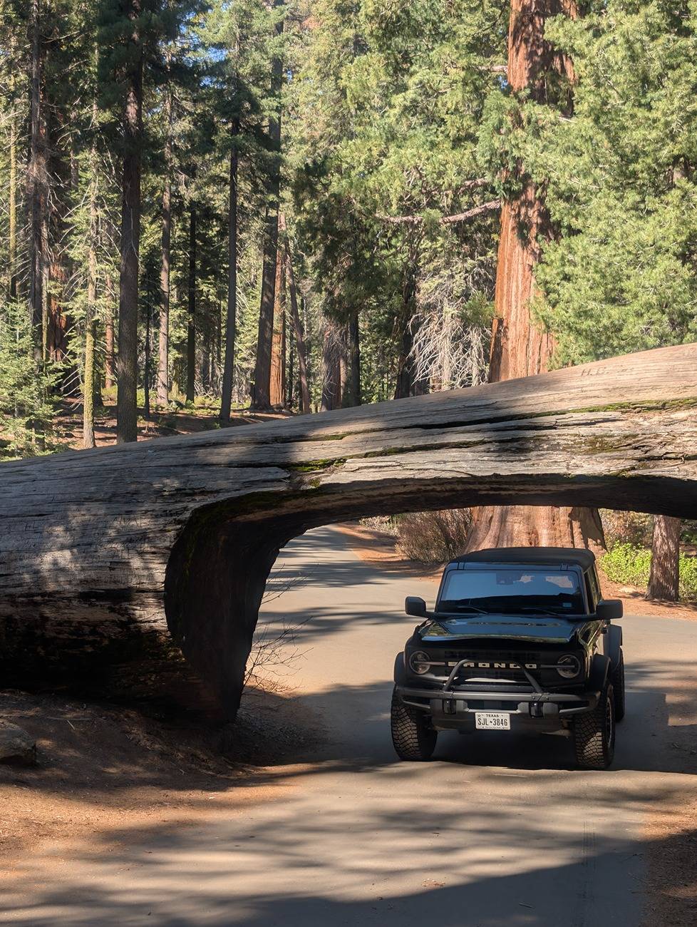 Ford Bronco 5,000 mile / 15 day camp trip from Austin to the Redwoods, other national parks (photos and report) PXL_20250507_170635214