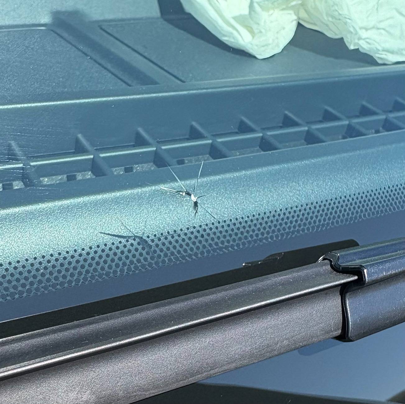 Ford Bronco How common are cracking issues on latest hardtops? crack this