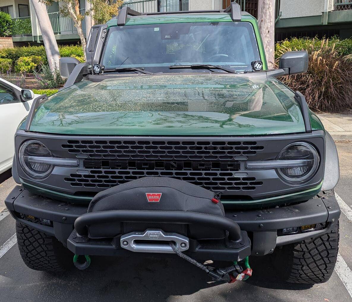 Ford Bronco Everglades A-pillar lights with snorkel? 1748555724149-dv