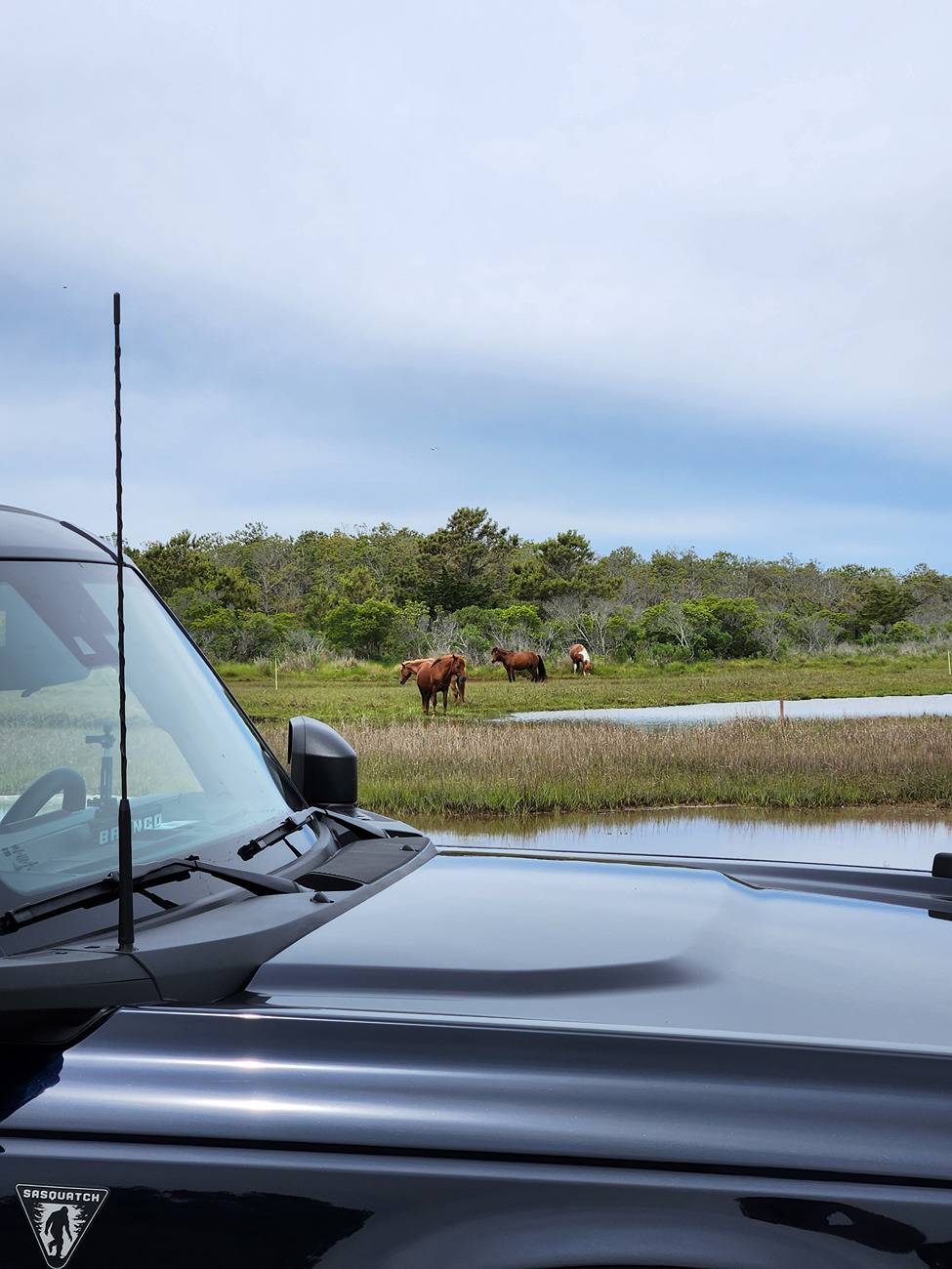 Ford Bronco Assateague Island National Seashore, MD 20250527_110512