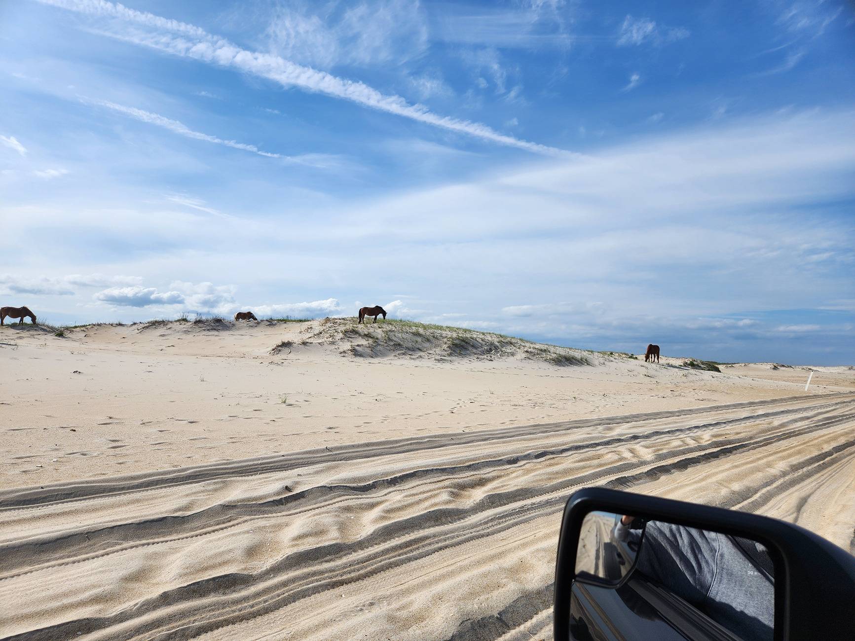 Ford Bronco Assateague Island National Seashore, MD 20250529_165544