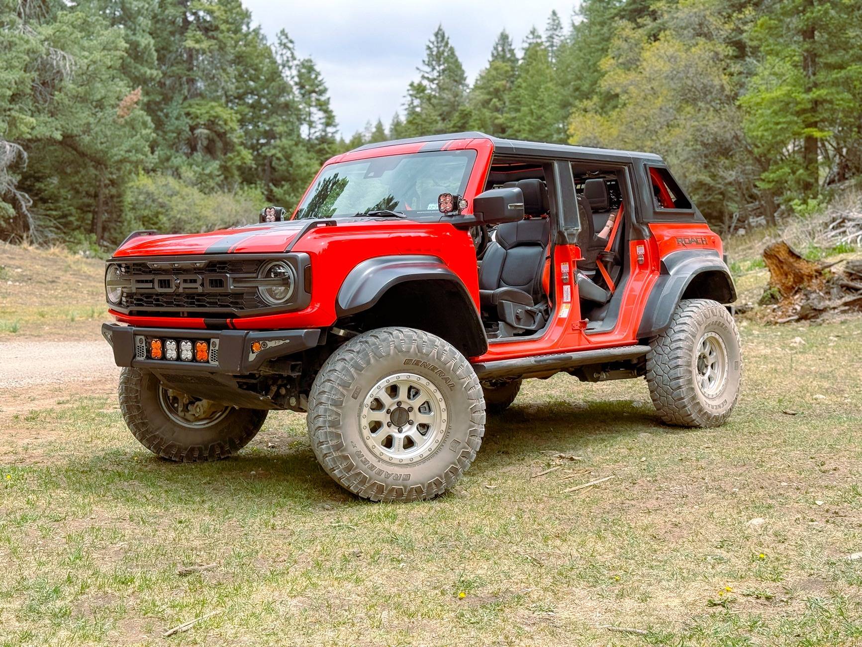 Ford Bronco Armadillo Designs Aluminum Hardtop IMG_7628_jpg.JPG