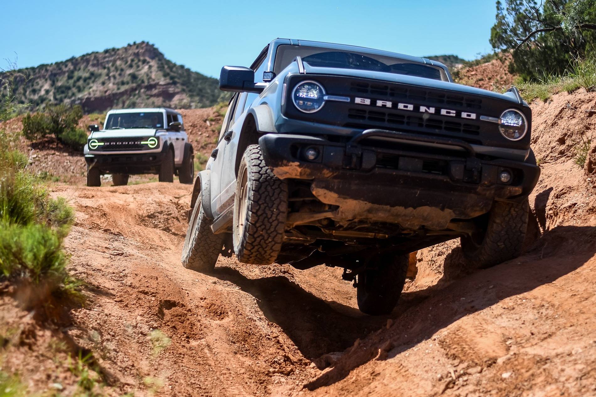 Ford Bronco Merus Adventure Park Blue Tours 503411632_10231426269573926_2845334331361345865_n