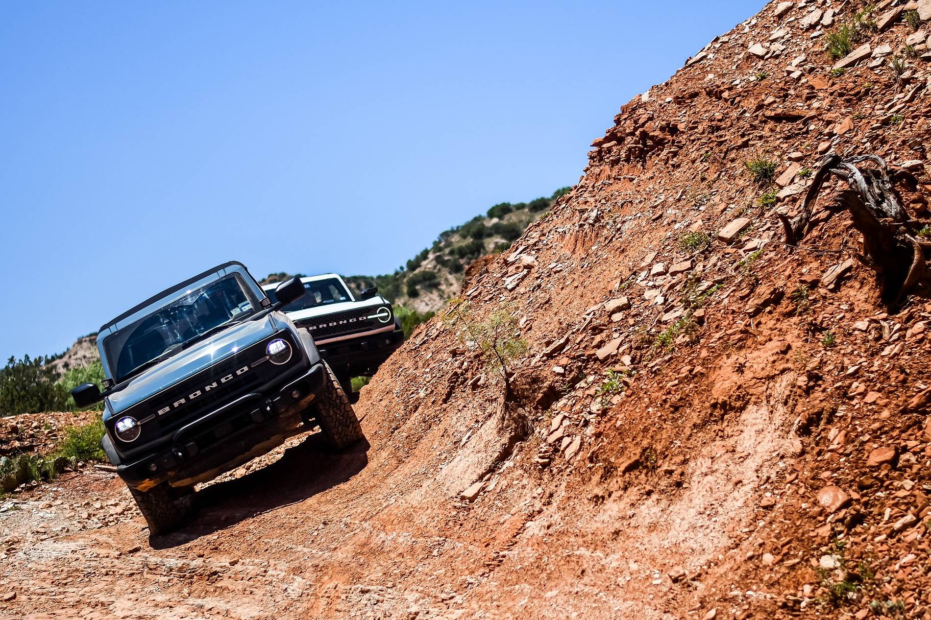 Ford Bronco Merus Adventure Park Blue Tours 503250016_10231426226892859_7745618234560485544_n