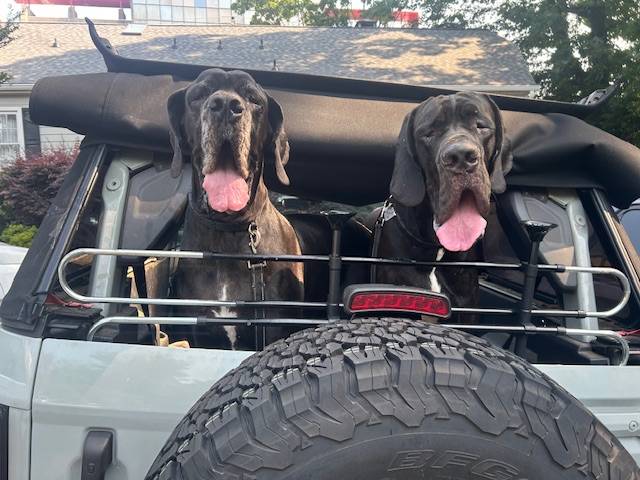 Ford Bronco FINALLY found a dog friendly solution! IMG_5218