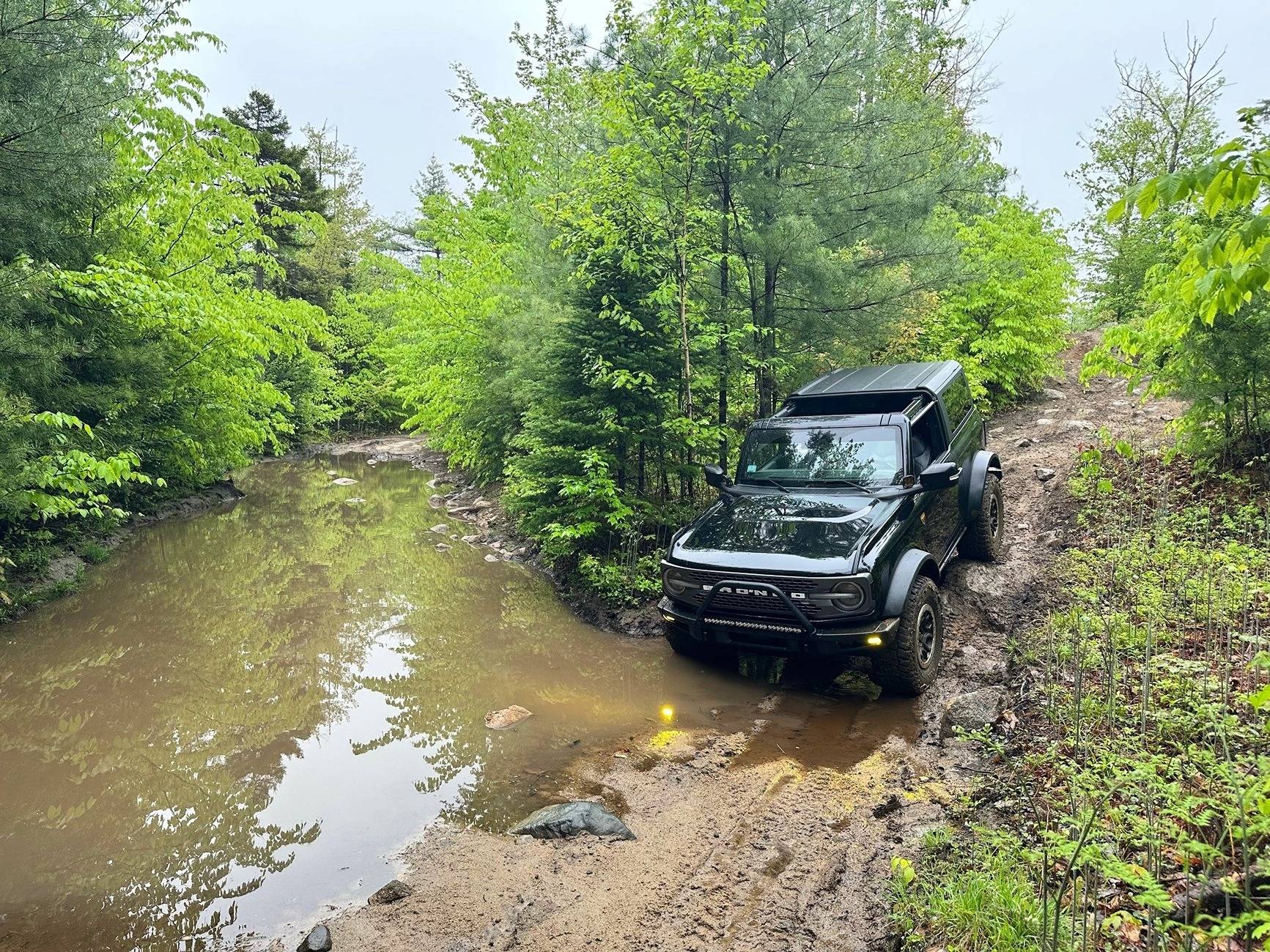 Ford Bronco Bronco at the watering hole truck7