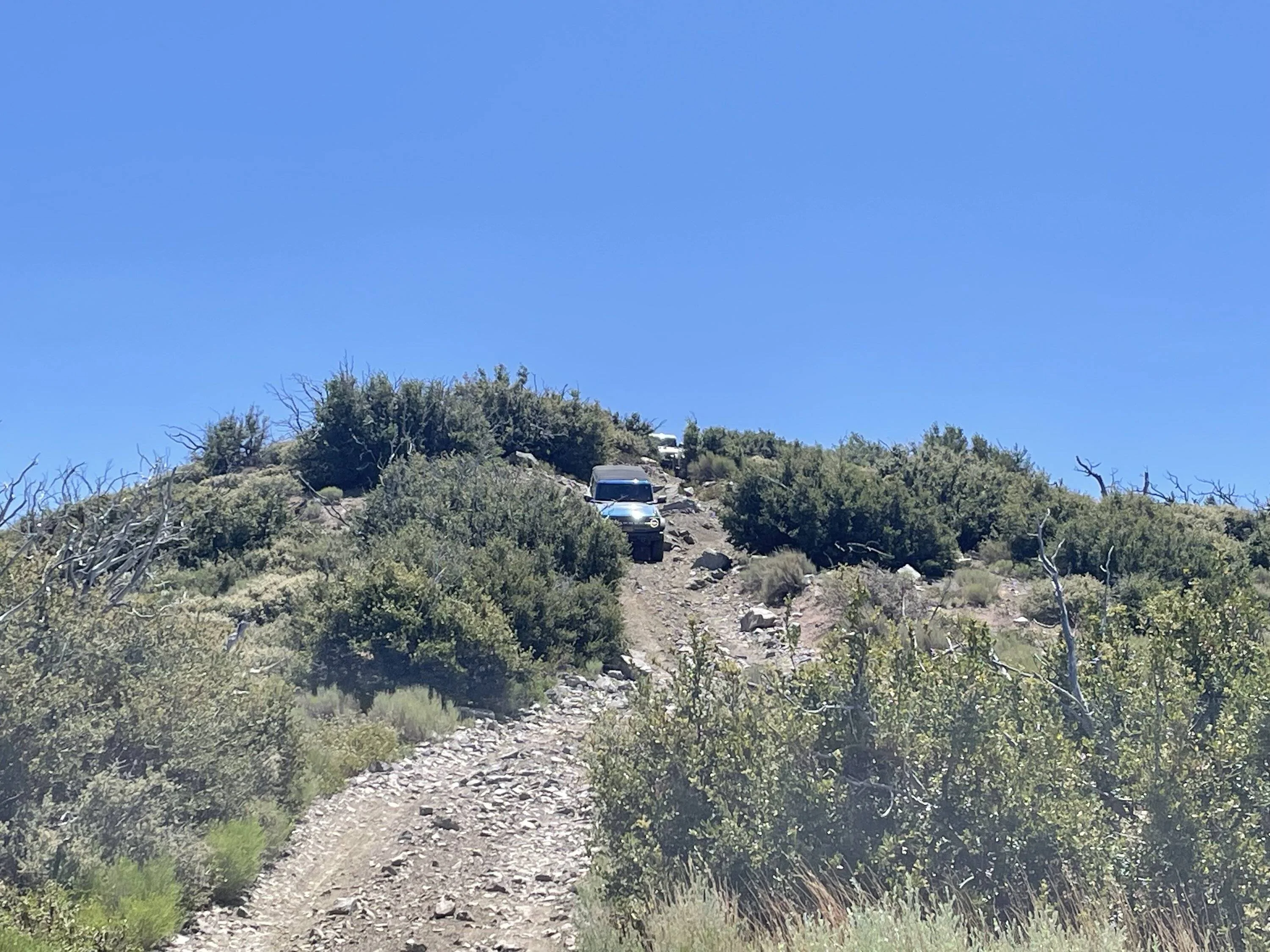 Ford Bronco White Mountain Big Bear Bronco Bash XXIV Sat Jun 7th 2025 IMG_3367