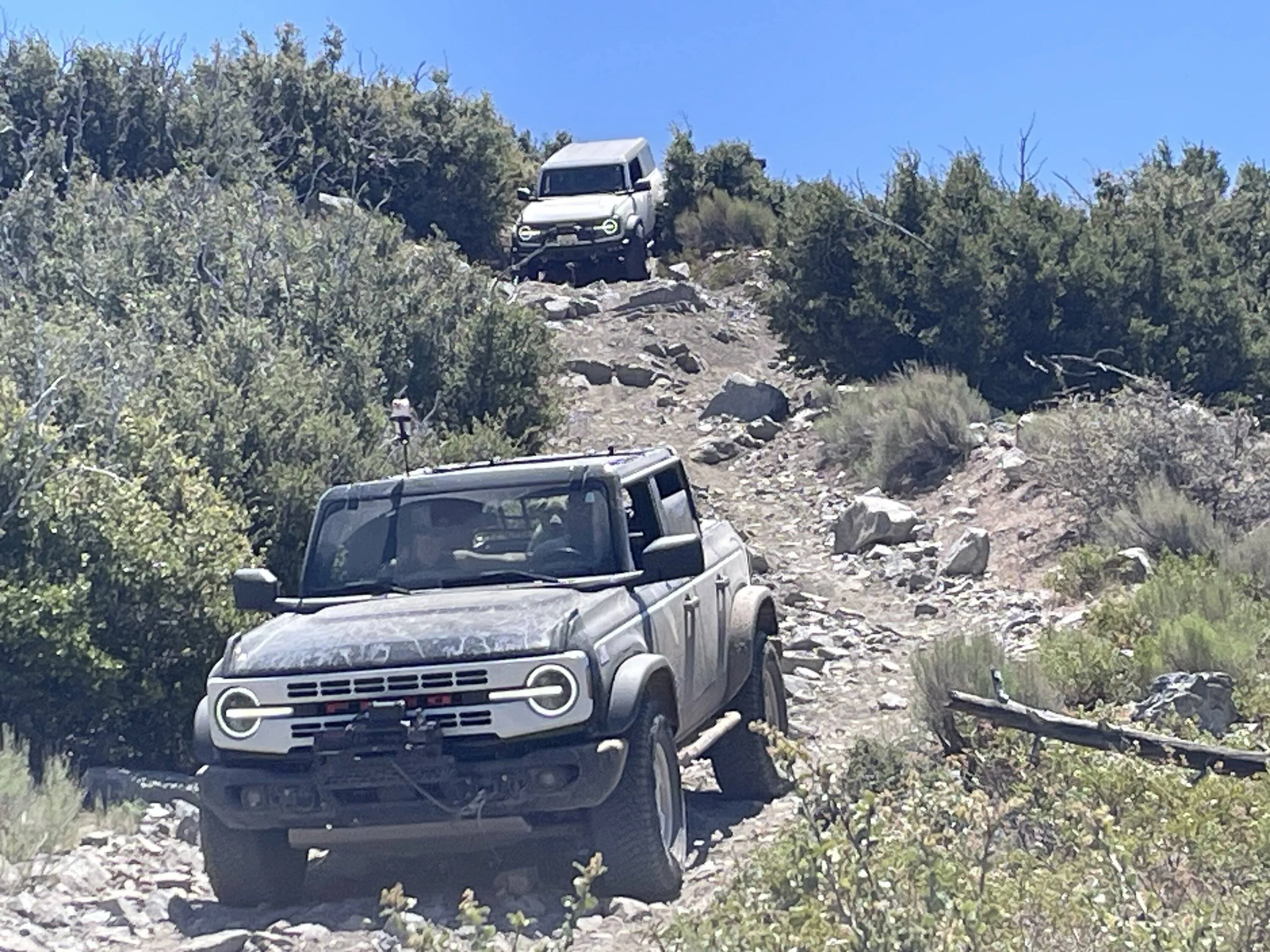 Ford Bronco White Mountain Big Bear Bronco Bash XXIV Sat Jun 7th 2025 IMG_3374