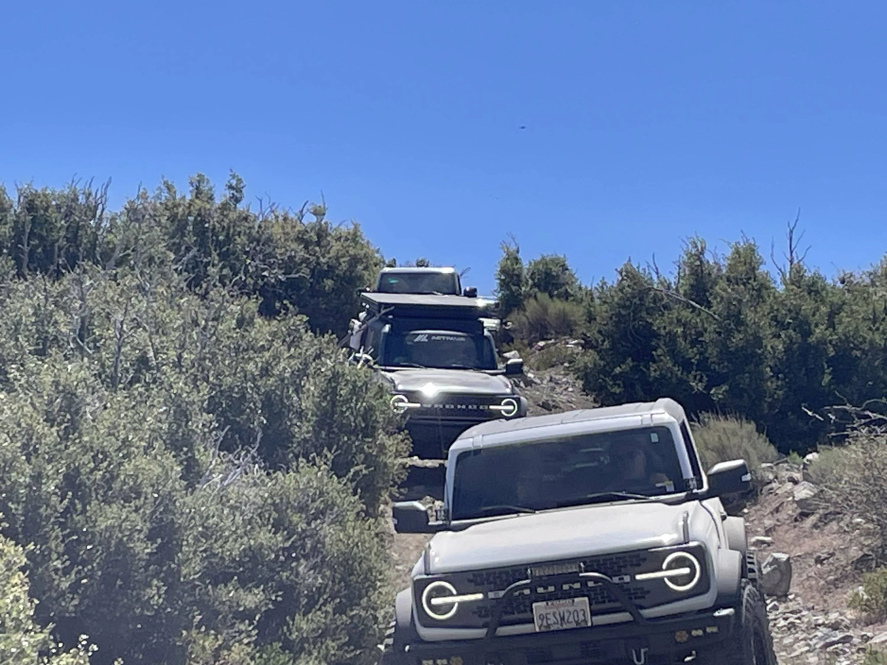 Ford Bronco White Mountain Big Bear Bronco Bash XXIV Sat Jun 7th 2025 IMG_3379