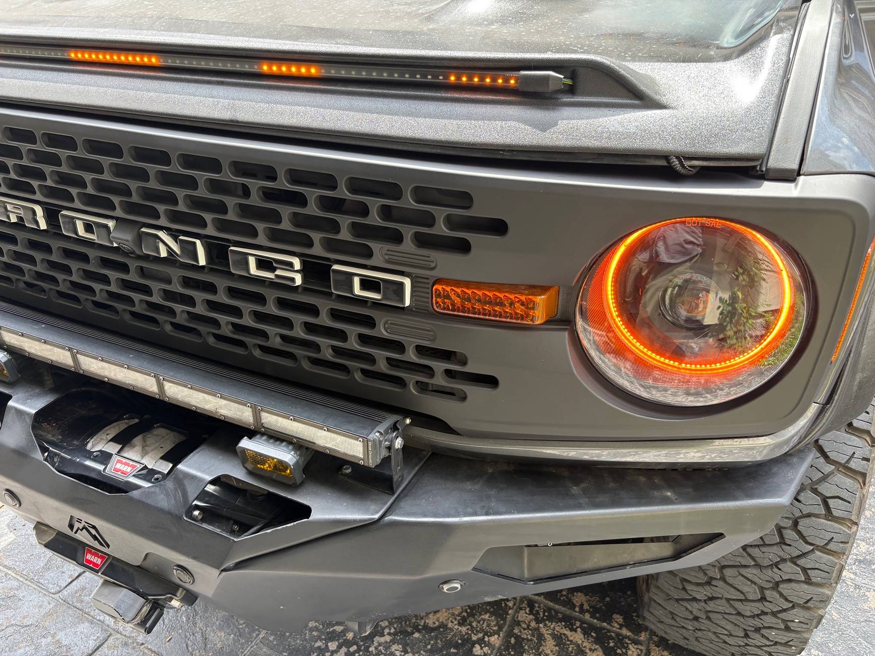 Ford Bronco Rattle canned the grille - spray painted flat black IMG_1184