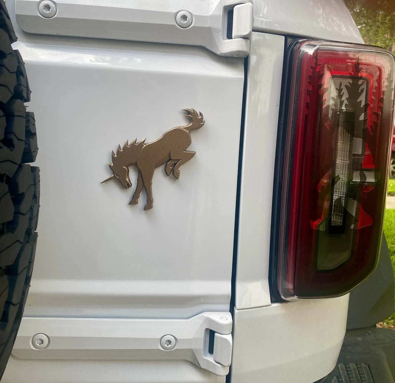 Ford Bronco Demon's '24 Badsquatch W.I.P. build thread IMG_2258