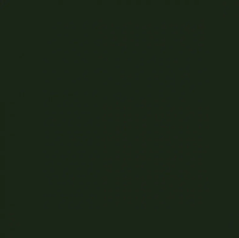 E0AC4409-97C3-4E31-BE66-6C76B3C6B8F4.jpeg