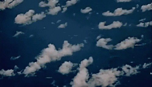 1609271847004.gif