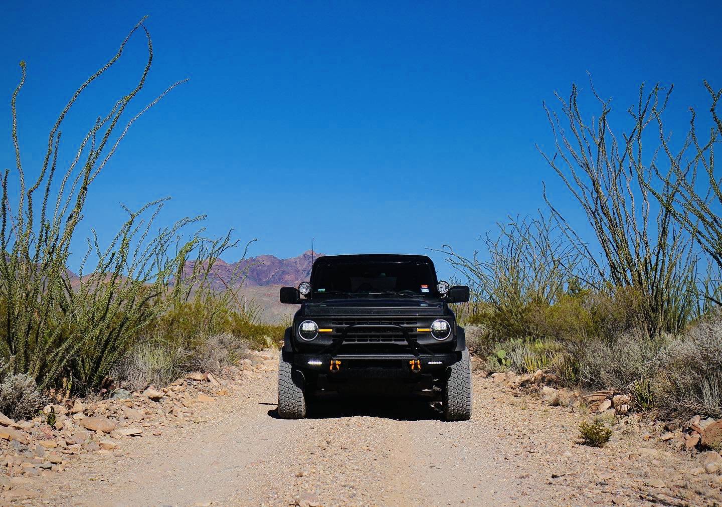 Ford Bronco Let’s see where you’ve taken your non locked (3.73 non Sasquatch) Broncos 6CC08EF7-0C84-49F1-B1D8-10EE244CB772