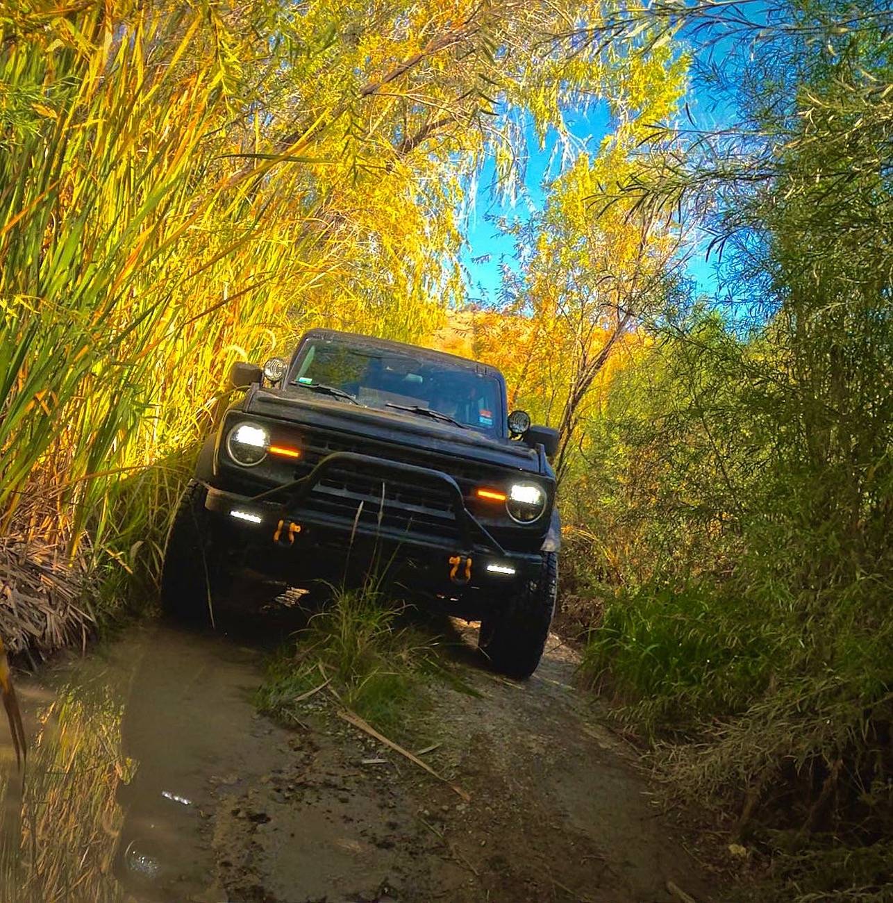 Ford Bronco Let’s see where you’ve taken your non locked (3.73 non Sasquatch) Broncos E6C0D2FE-4ACB-45B1-BDD1-0517892B1E5E