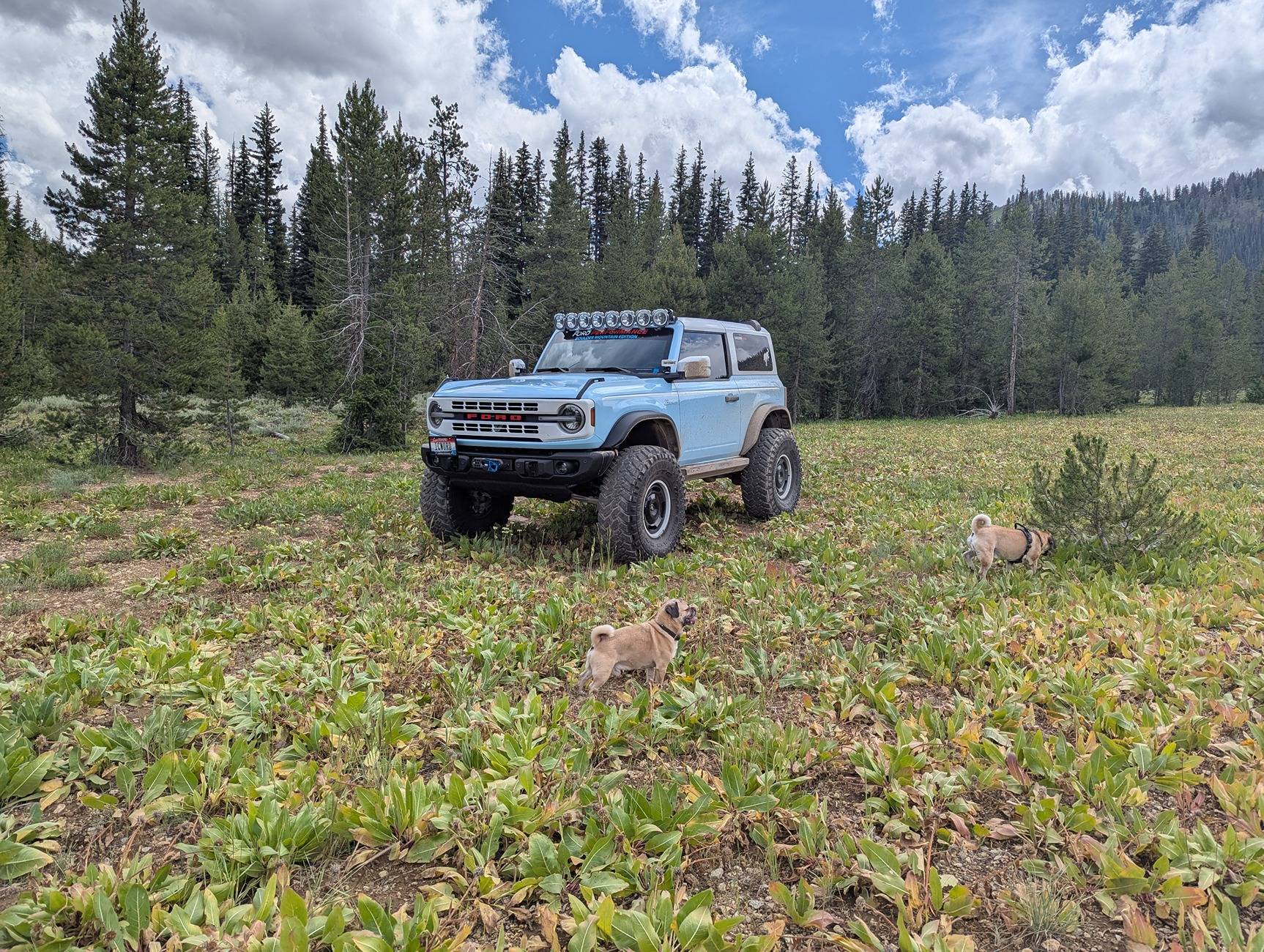 Ford Bronco The new Boulder Mountain Edition Build .... (prototype) mom and dads meadow
