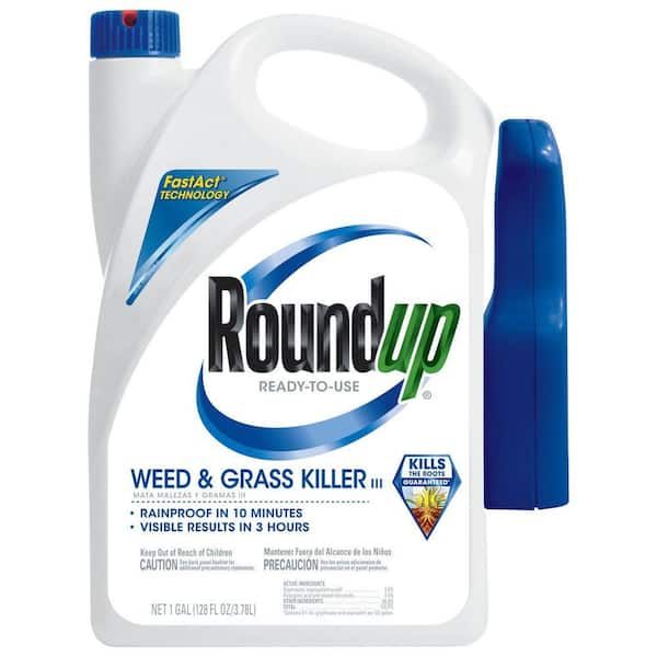 Ford Bronco SilverBack build: from day 1 to today roundup-weed-grass-killer-500261005-64_600