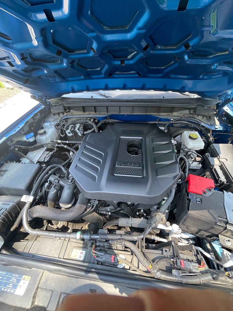 Ford Bronco What did you do TO / WITH your Bronco today? 👨🏻‍🔧🧰🚿🛠 IMG_6429