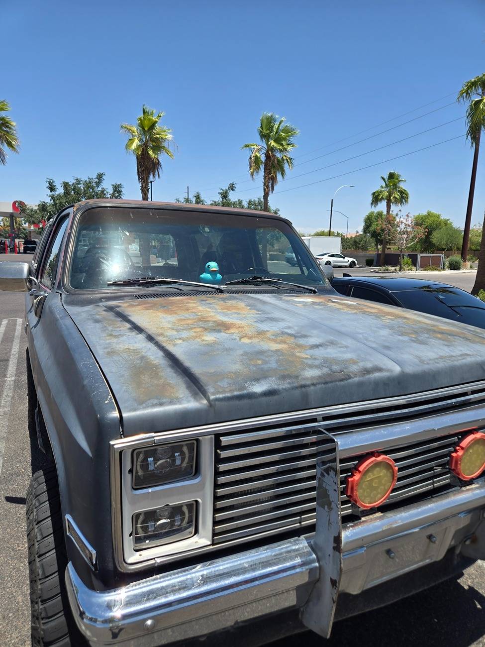 Ford Bronco Jeep ducks? 20250708_122632