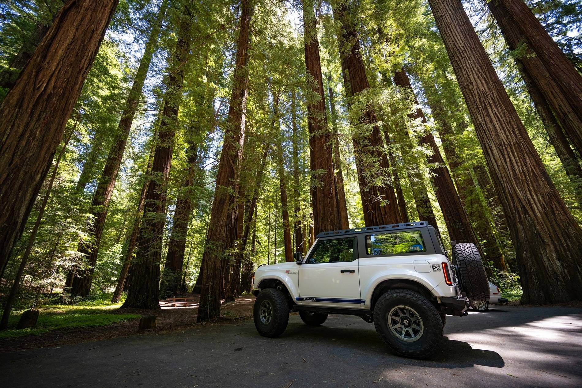 Ford Bronco Summer Vacation to California's North Coast and More! 513829539_10235565140525865_3354668463560279916_n