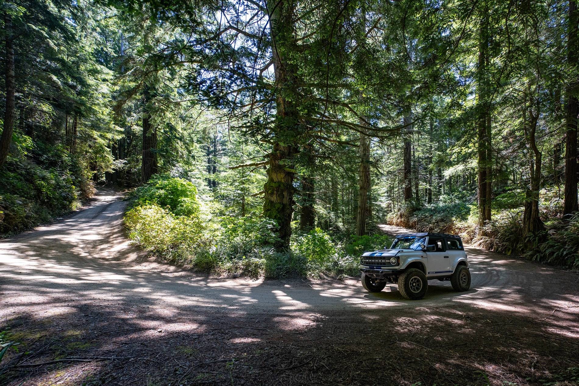 Ford Bronco Summer Vacation to California's North Coast and More! 513901176_10235593770801604_3938351263956349128_n