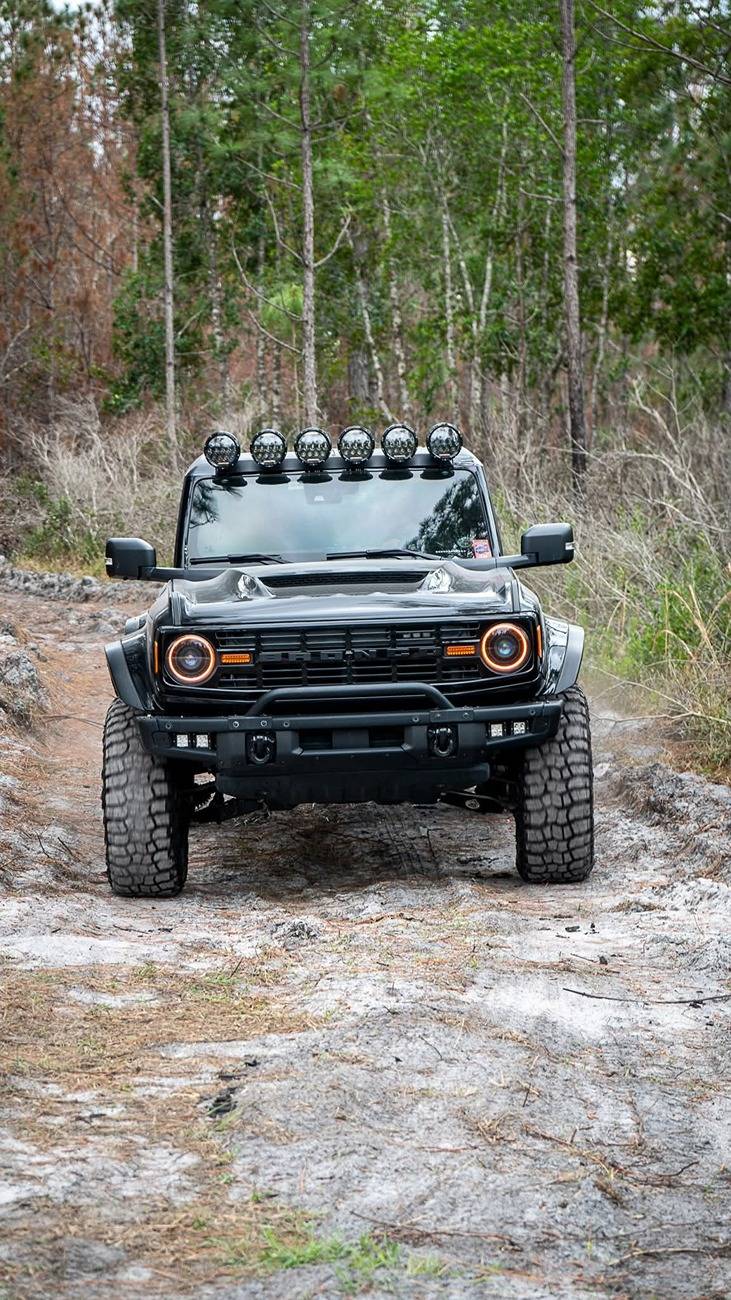 Ford Bronco Ram air hood. FB_IMG_1740529009207